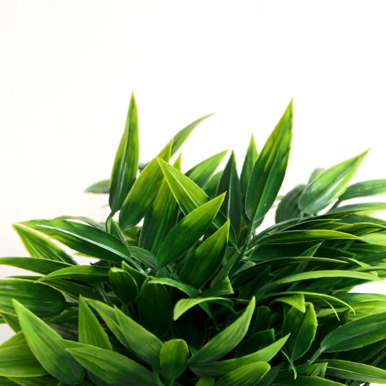 Бонсай "Драцена отогнутая" 9х30 см   7081301