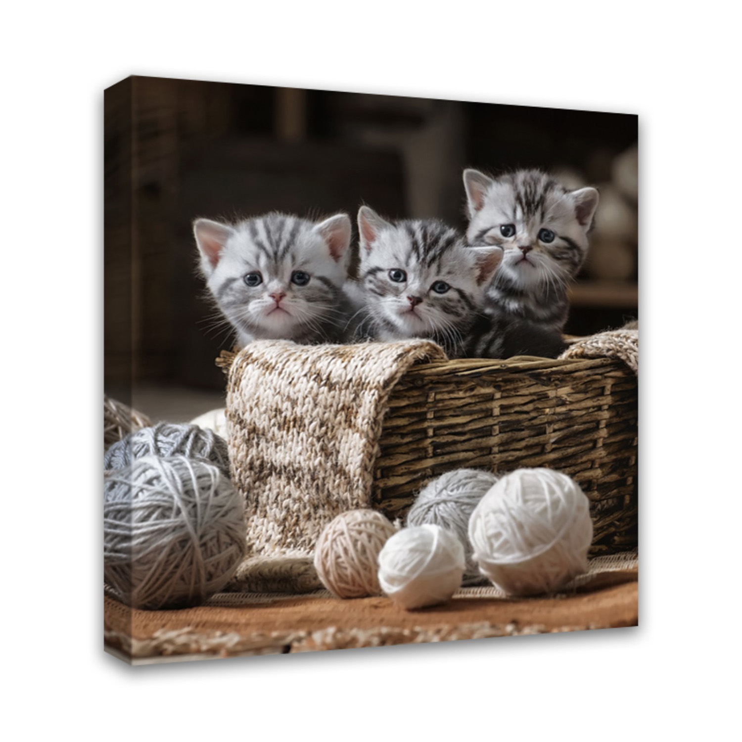 Картина на подрамнике "Котята" 30*30 см   4194706