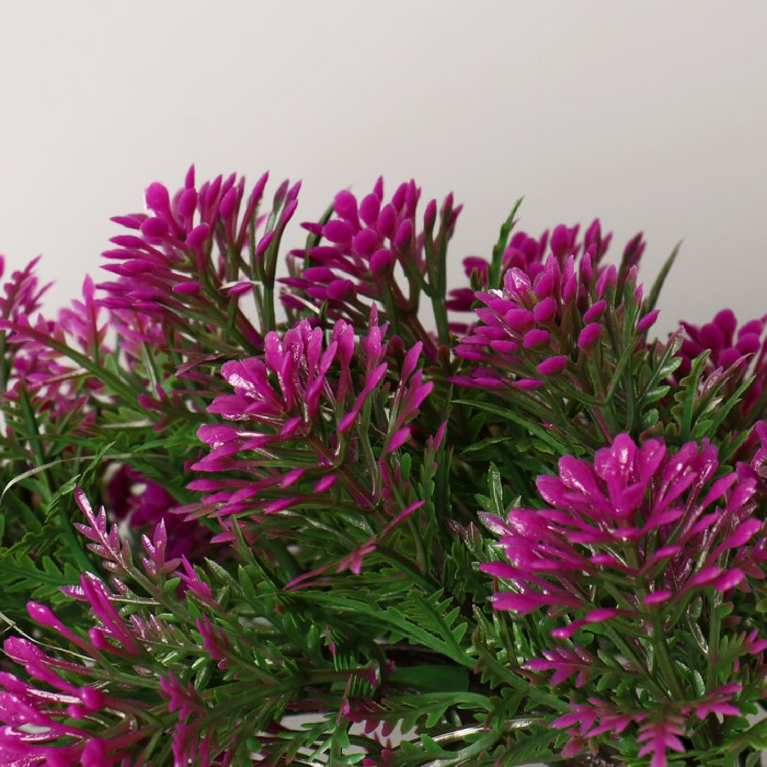 Бонсай "Селагинелла африканская" 10х20 см, микс 7081312