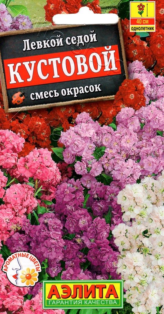 Семена Левкой Кустовой смесь 0,1гр Аэлита цв *10/200