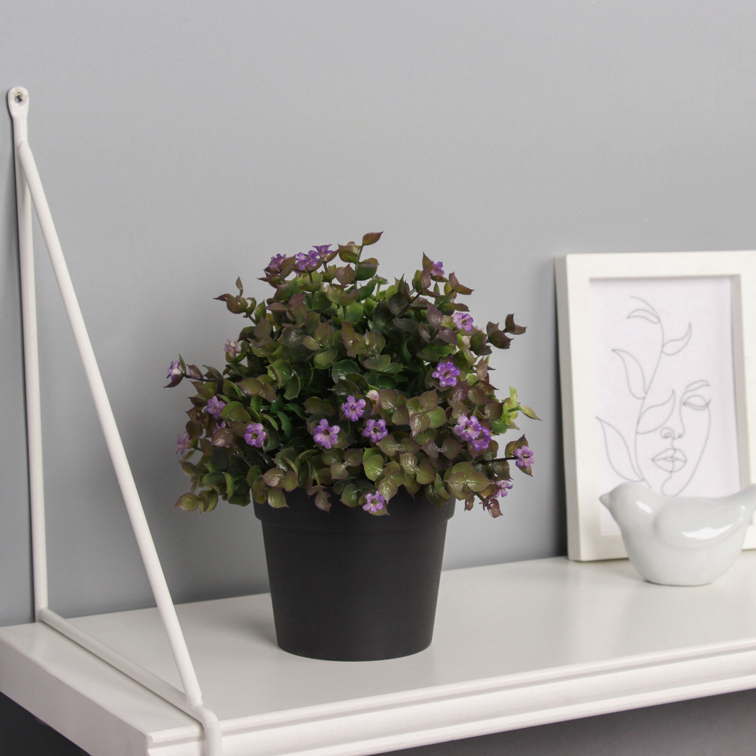 Бонсай в горшке "Фиалка мини с зеленью галант" 18х10 см, микс  10697875