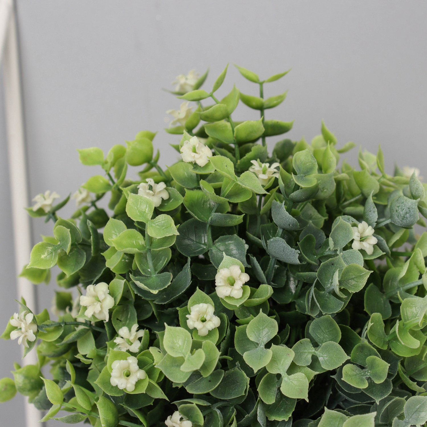 Бонсай в горшке "Фиалка мини с зеленью галант" 18х10 см, микс  10697875