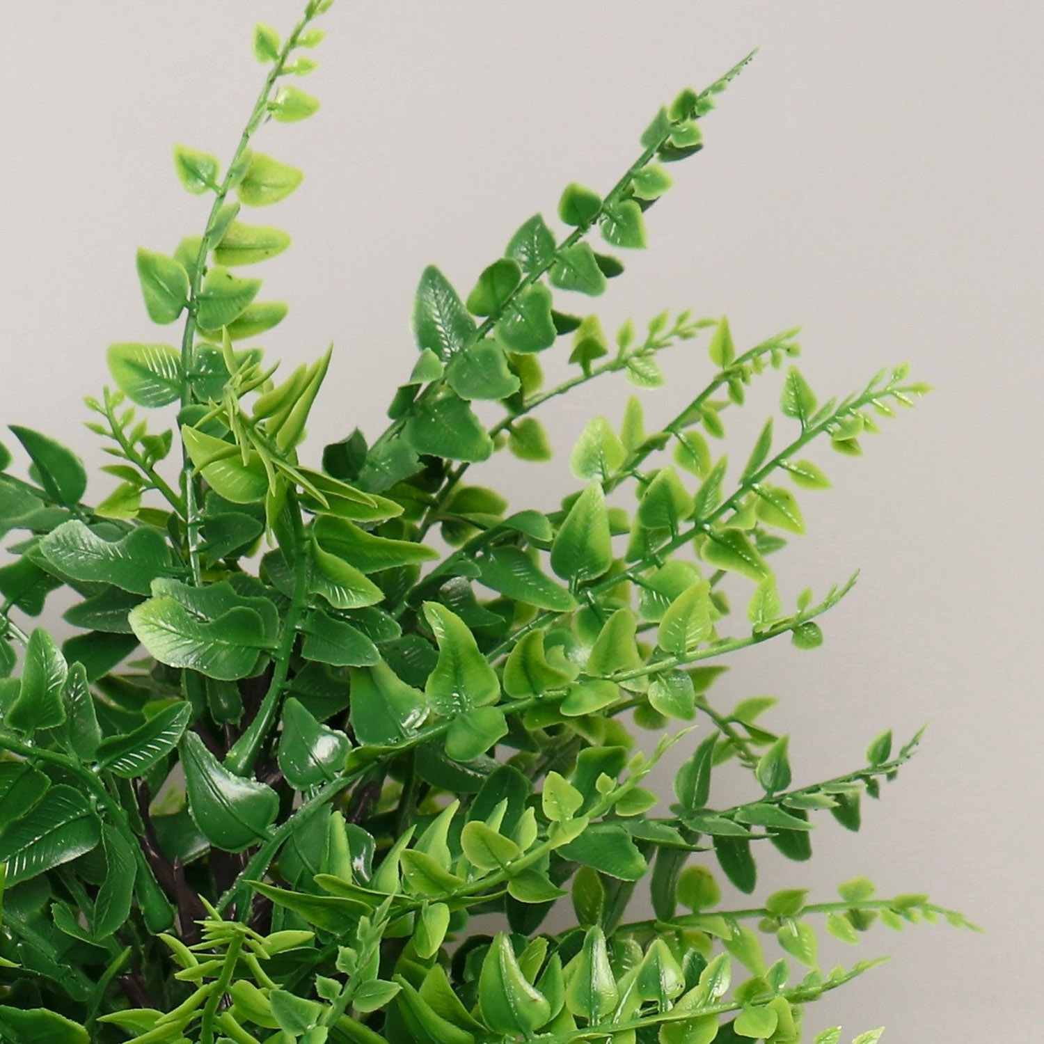 Бонсай "Нефролепсис" 9х30 см   7081299