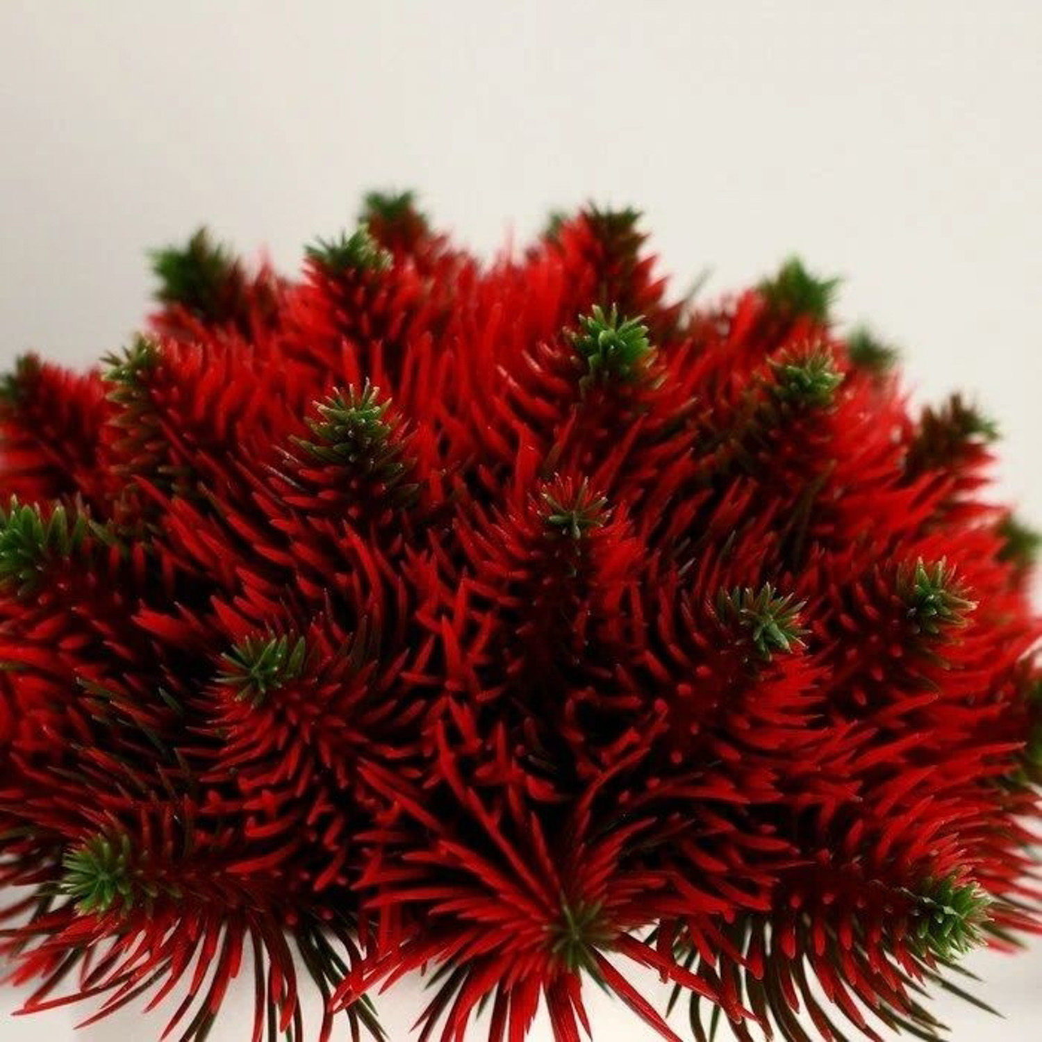 Бонсай "Пышные веточки" 8х15 см микс   4736473