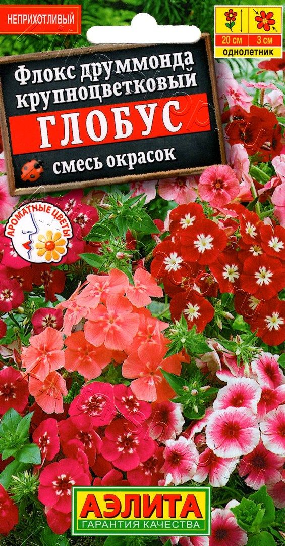 Семена Флокс Глобус смесь 0,1гр  Аэлита цв *10/200