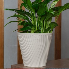 Кашпо пластм. "Луи" 2,7л d верха 180мм h166мм со вставкой Крем AML-2,7-02 ("VipSet") *1/12 Кашпо пластм. "Луи" 2,7л d верха 180мм h166мм со вставкой Крем AML-2,7-02 ("VipSet") *1/12