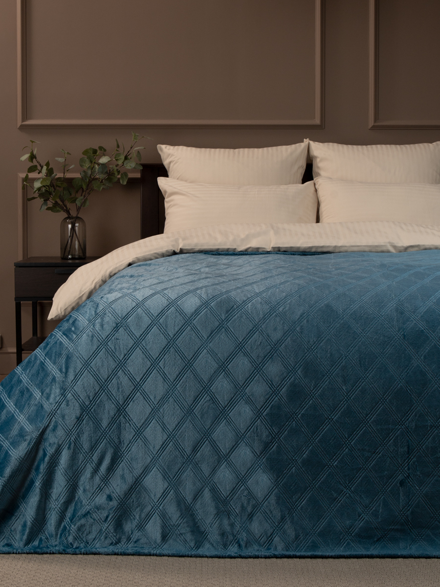 Плед 200*220см фланель клетка синий TF FNE BL 034/2022 Absolute *1 Плед 200*220см фланель клетка синий TF FNE BL 034/2022 Absolute *1