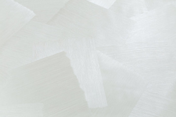 Обои флиз "AS Палитра" Deco Light (беж.) PL72562-17 1,06*10м *1/8