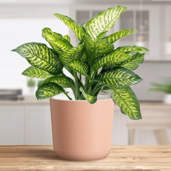 Кашпо пластм. "Лион"  4.2л d верха 190мм h175мм со вставкой Розовый-вереск ЛИ19-20 *1/8