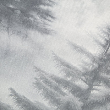 Обои флиз "Home Color" Ultrachrome 3 (сер.) HC72551-44 1,06*10м*1/8