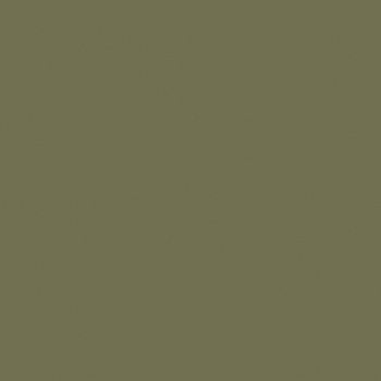 Обои  флиз  Ateliero Colorist (зел.)38202-05 1.06*10м *6