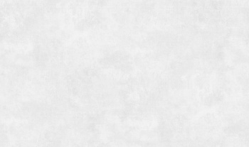 Обои флиз. Артекс EcoLine Казань (св.-сер.) 11334-02 10х1.06м *1/6