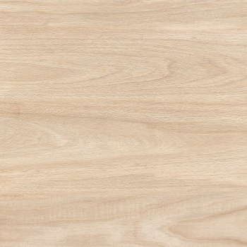 Керамогранит B60903 корич матовый 600*600*9,5 (0,36*5=1,8*30=54) Казахстан *54 АКЦИЯ