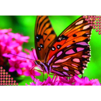 Алмазная вышивка "Бабочка" 22*32 см, холст, пинцент, ёмкость 1028499