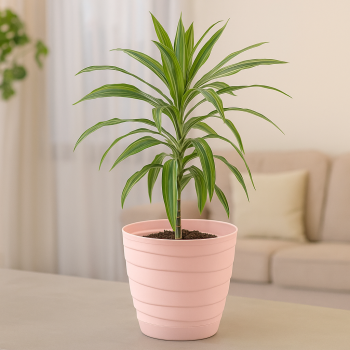 Кашпо пластм. "Бриз" 2,7л d верха 184мм h154мм с поддоном, прикорн.поливом Пудровый *1/10