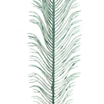 Ветка декоративная "Волшебное перо" 53 см, Нежный зеленый