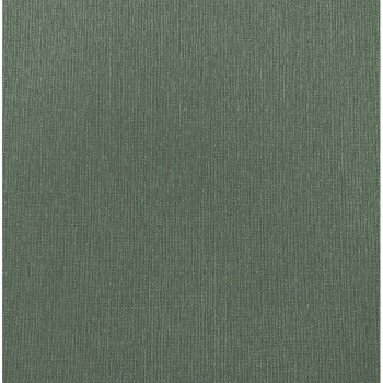 яяяОбои  флиз. "Эрисманн" Oxford 60833-08 10х1.06м *1/6