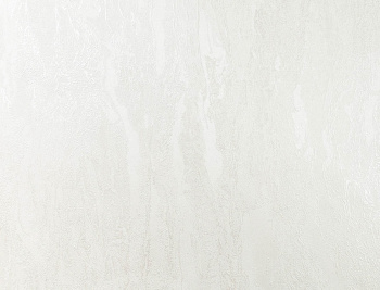 Обои флиз "AS Палитра" Аспект Юнион (бел.)  70672-10  1,06*10м *1/6