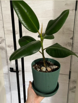 Кашпо пластм. "Gaufre" 1л d верха 115мм h115мм с поддоном Изумруд 801--16 (Tek.A.Tek) *1/40